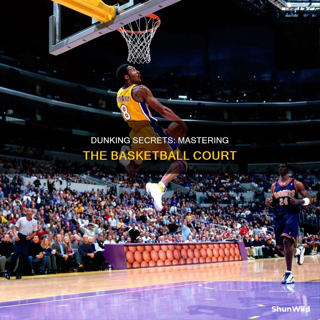 how to dunk basketball stray