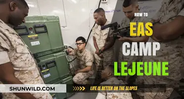 Mastering Camp Lejeune: Essential Tips for a Seamless Experience
