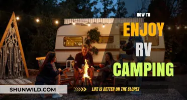 Maximize Your RV Adventure: Tips for Enjoying Camping to the Fullest