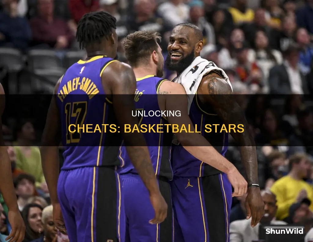 how to enter cheat codes in basketball stars