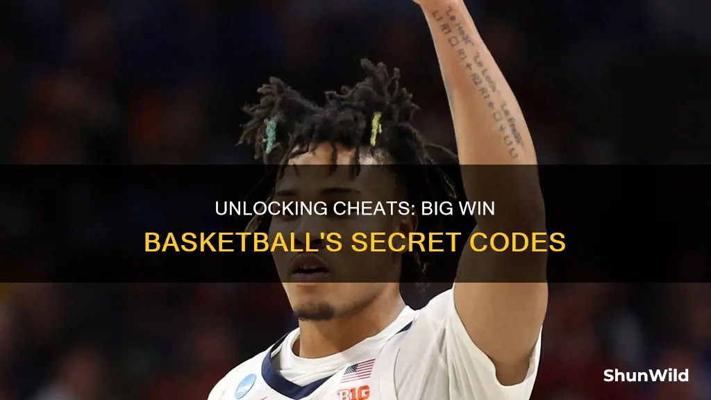 how to enter cheat codes in big win basketball