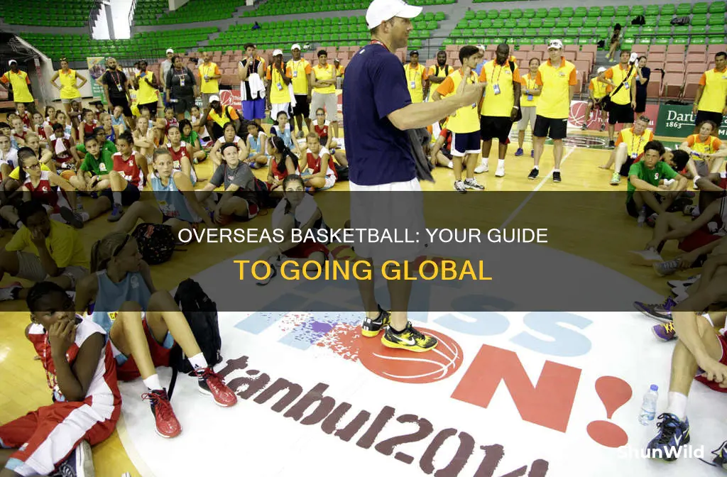 how to enter overseas basketball