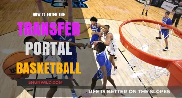 Guide to Navigating the Basketball Transfer Portal