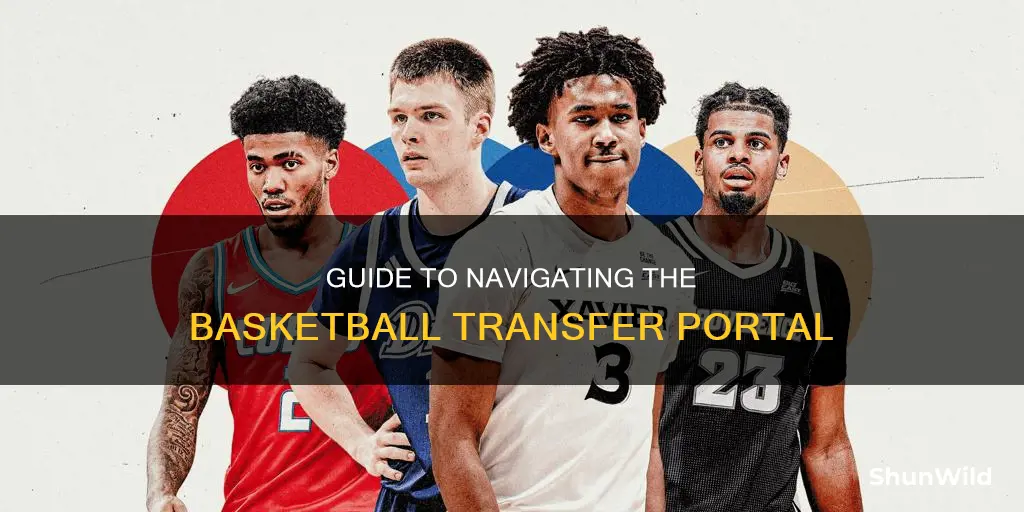 how to enter the transfer portal basketball