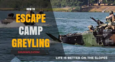 Escape Camp Greyling: Stealthy Strategies for a Successful Getaway Plan
