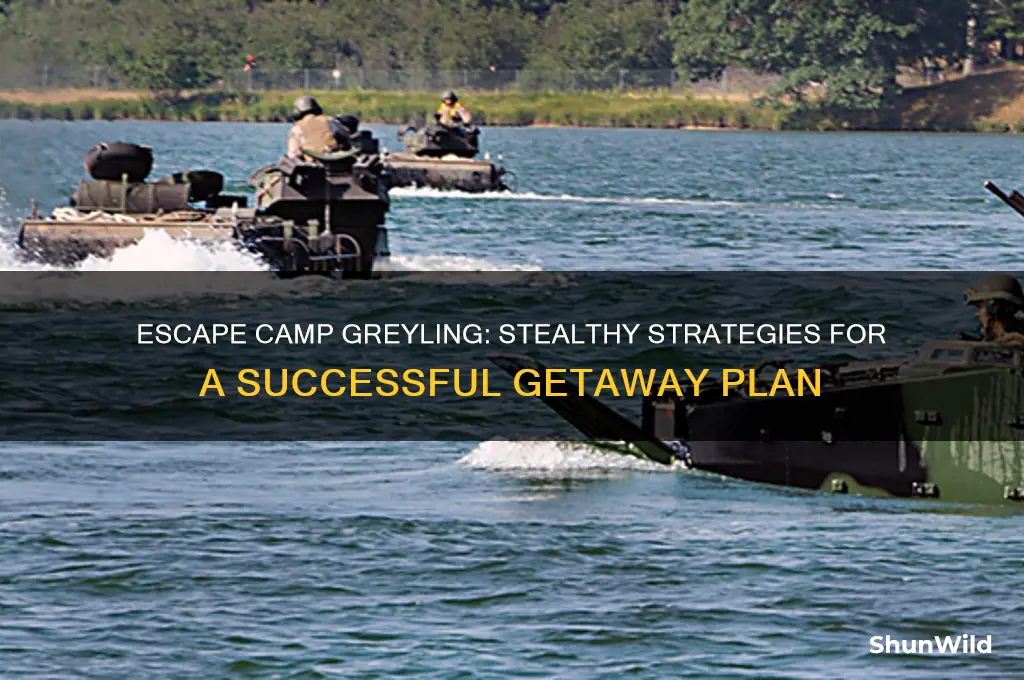 how to escape camp greyling