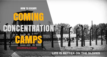 Surviving the Threat: Strategies to Evade Emerging Concentration Camps