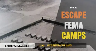 Survive and Evade: Strategies to Escape FEMA Camps Safely