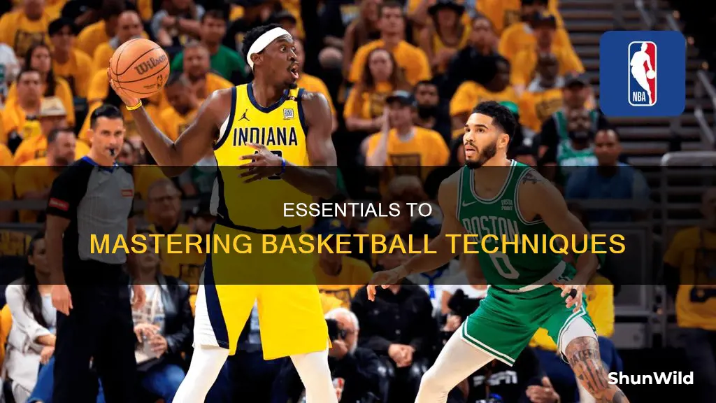 how to essay on basketball