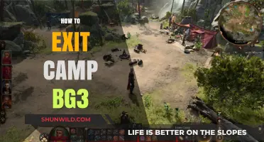 Mastering Baldur's Gate 3: Smooth Strategies to Exit Camp BG3