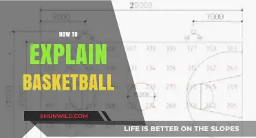 The Basics of Basketball: A Beginner's Guide
