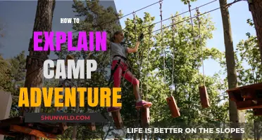 Exploring the Thrills and Benefits of Camp Adventure Experiences
