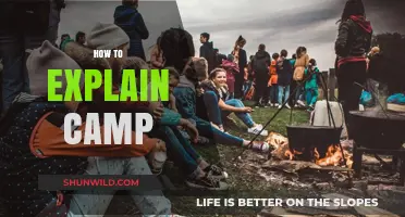 Explaining Camp: A Beginner's Guide to Understanding Its Unique Culture