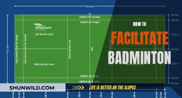 Facilitating Badminton: Strategies for Success