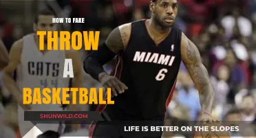 Faking a Basketball Pass: The Art of Deception