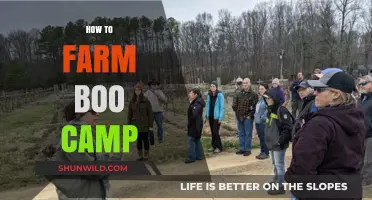 Mastering Boo Camp Farming: Tips, Tricks, and Strategies for Success