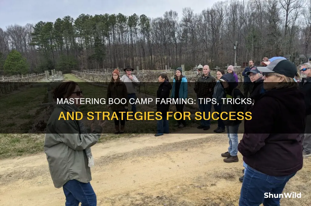 how to farm boo camp