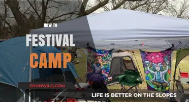 Essential Festival Camping Tips: Gear, Setup, and Survival Guide