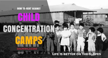Ending Child Concentration Camps: Strategies for Justice and Humanity