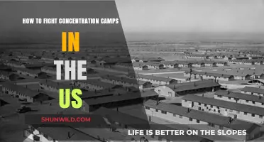 Resisting Injustice: Strategies to Combat US Concentration Camps