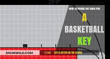 Basketball Court Basics: Understanding Key Area Dimensions