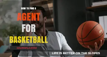 Finding a Basketball Agent: Where to Start