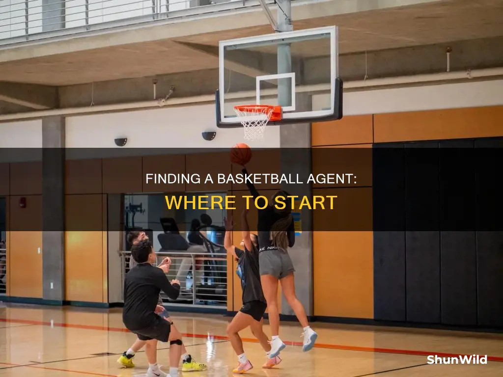 how to find a agent for basketball