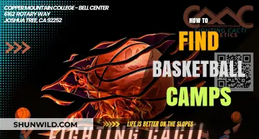 Best Basketball Camps: Where and How to Find Them