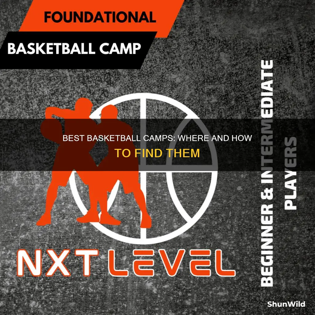 how to find basketball camps