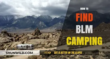 Discover BLM Camping: Tips for Locating Free Campsites Easily