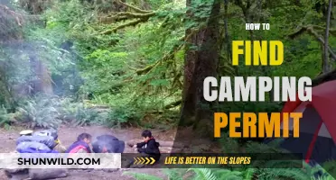 Essential Tips for Securing Your Camping Permit Effortlessly
