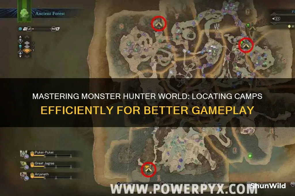 how to find camps mhw