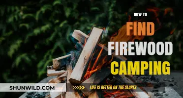 Essential Tips for Finding Firewood While Camping in the Wild