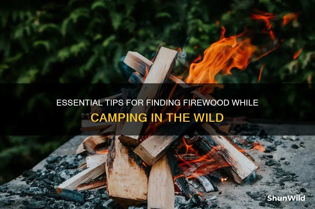 how to find firewood camping