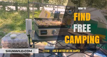 Discover Free Camping: Tips for Budget-Friendly Outdoor Adventures