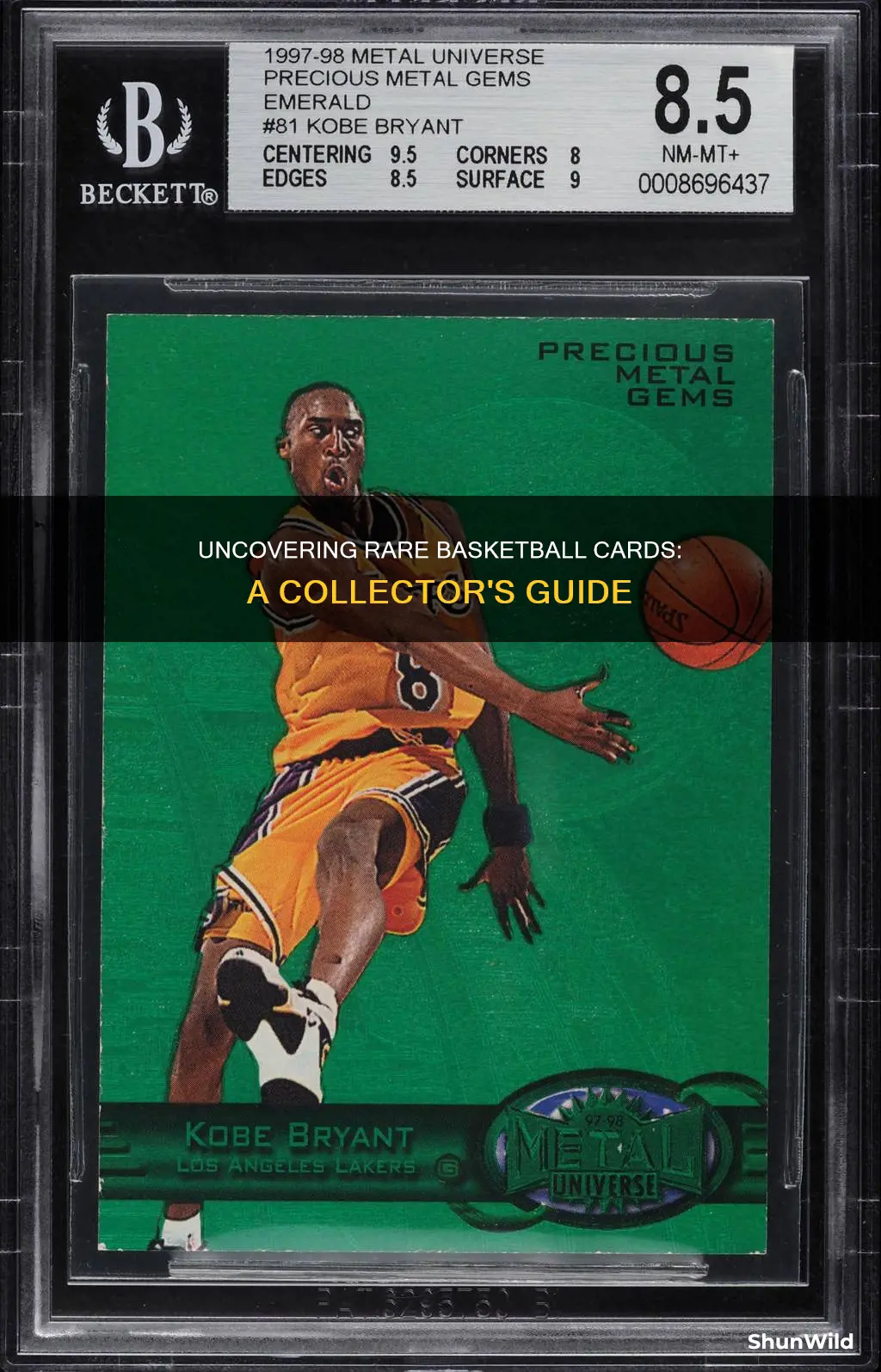 how to find rare basketball cards