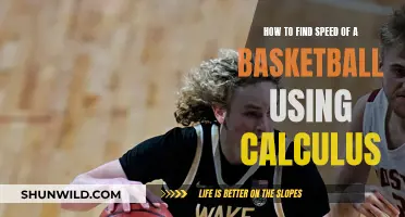 Unraveling Basketball's Velocity: A Calculus-Guided Approach to Speed Analysis