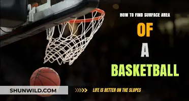 Calculating the Surface Area of a Basketball
