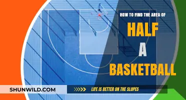 Calculating the Area of Half a Basketball