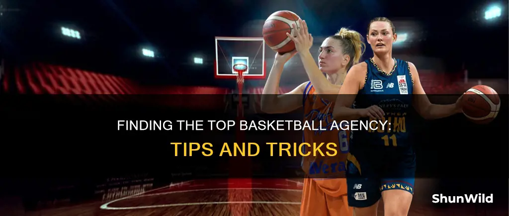 how to find the best basketball agency