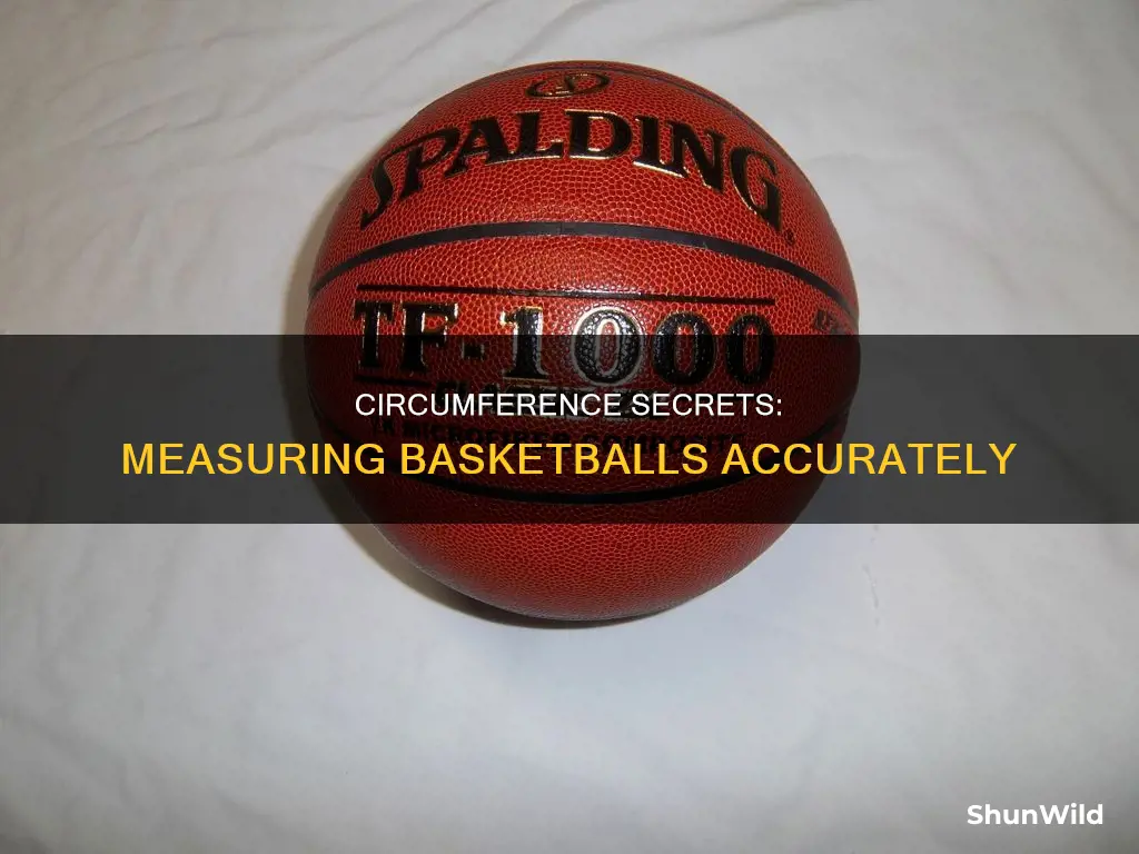how to find the circumference of a basketball