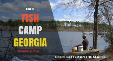 Georgia's Best Fishing Campsites: Tips, Spots, and Essentials for Anglers