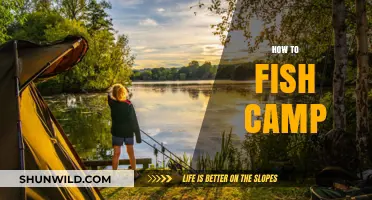 Mastering the Art of Fishing and Camping: Essential Tips and Tricks