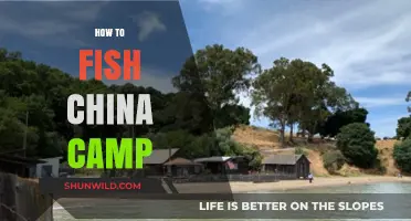 Mastering China Camp Fishing: Tips, Techniques, and Top Spots