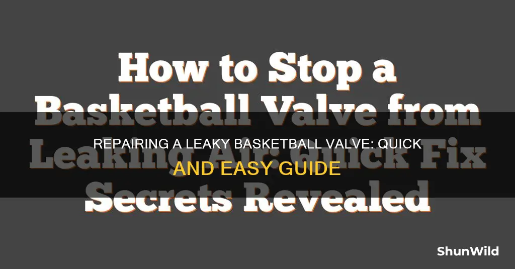how to fix leaking basketball valve