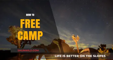 Ultimate Guide to Free Camping: Tips, Tricks, and Essential Gear