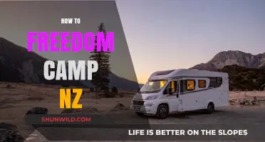 Freedom Camping in NZ: Essential Tips for Responsible Adventure
