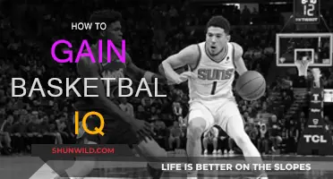 Basketball IQ: Developing a High-Performance Mindset
