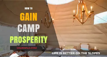 Mastering Camp Prosperity: Essential Tips for Success and Growth