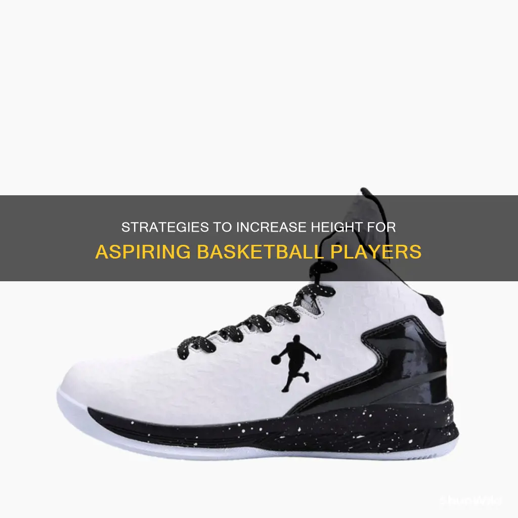 how to gain height for basketball